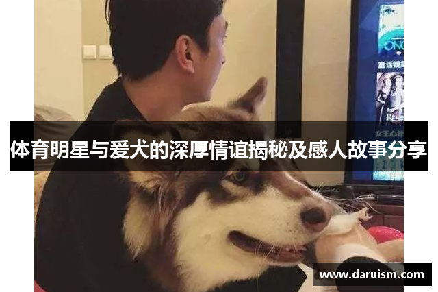 体育明星与爱犬的深厚情谊揭秘及感人故事分享